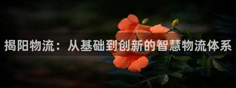usdt官方吧