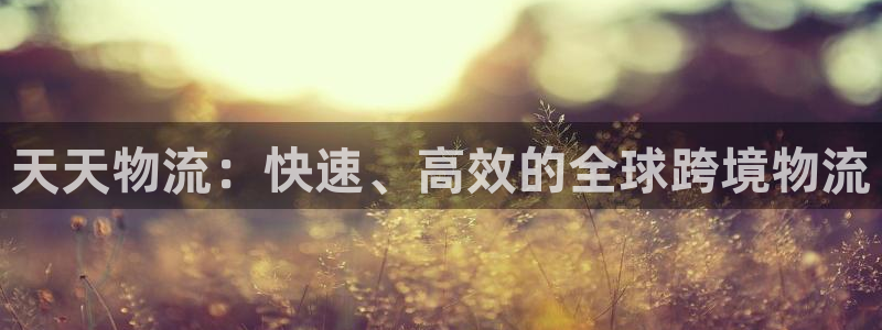 usdt下载官网-官网下载usdt交易平台