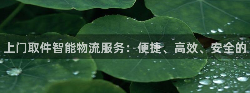 usdt汇率人民币