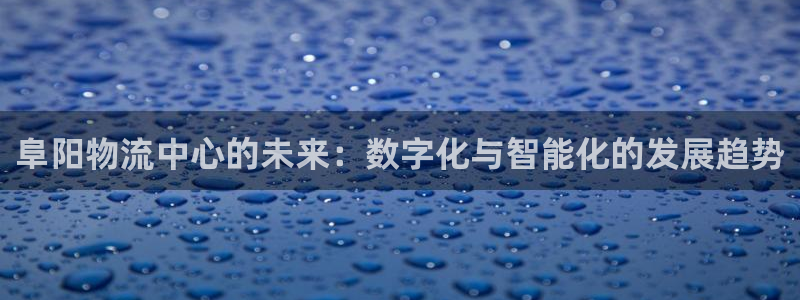 usdt官方app