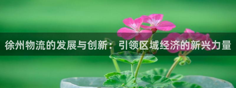 usdt 充币地址：徐州物流的发展与